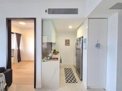 Amber 45 (D15), Apartment #565166351